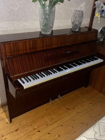 Fleytalar: Piano, Petrof, Akustik — 2