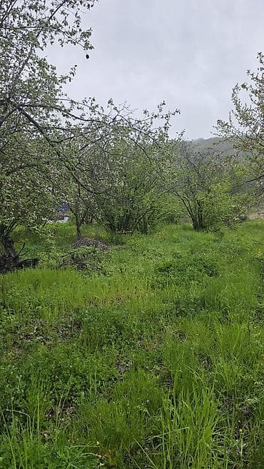 torpaq xaçmaz: Kənd təsərrüfatı — 1