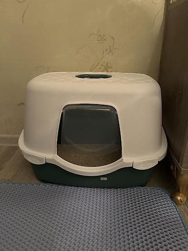 Britan, Dişi, Yaxşı əllərə — 8