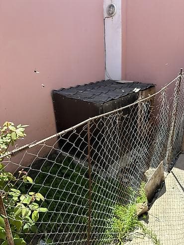 toyuq damı: Taxta toyuq/broyler kümesi - Material: taxta karkas, ön və yan — 5