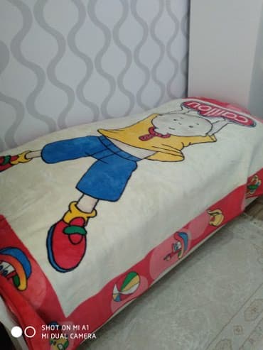 dash yunu qiymeti: Pled — 2