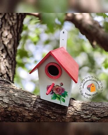 Digər heyvanlar: Quş yuvası — 6