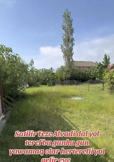 xirdalan kiraye heyet evler: Satılır: Masallı r., Təzə Alvadı kəndində satılıq həyət evi / torpaq — 3