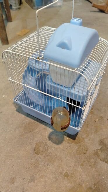 домики для хомяков: Her bir seyi tamdir — 5