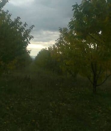 кабинка для душа: Şabran rayon şahnəzərli kəndi tam merkez 45 sot heyetyani sahe hasarli — 1