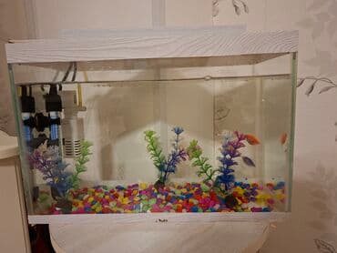 hava matoru: Akvaryum komplekti - Şüşə akvaryum, üst və alt dekorativ ağ — 3