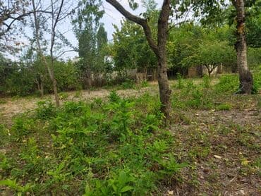 продается земельный участок: 24 sot, Kənd təsərrüfatı, Kupça (Çıxarış) — 9