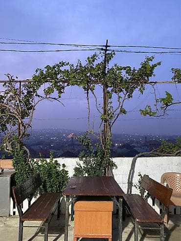 xocasen kiraye ev: 100 kv. m, 4 otaqlı, Telefon, Qaz, İşıq — 7