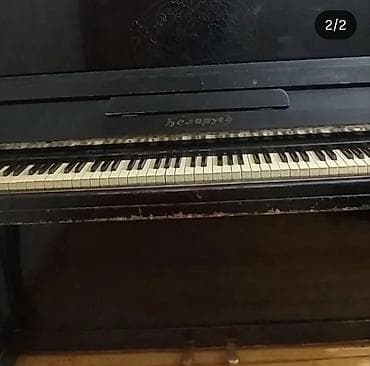 turnik gence: Piano, Belarus, Akustik — 2