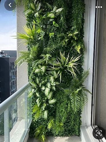 su ceni gence: Ev ofis restoran ve s yerlerin suni gul dekor iwleri 1 kv - 130 azn — 2