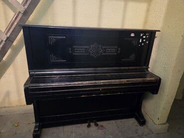 CD, DVD disklər və kassetlər: Piano, Rostov-Don, Akustik — 3