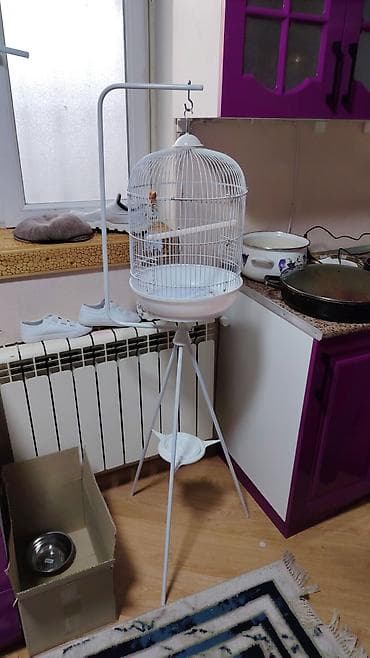 Ağ rəngli metal quş qəfəsi və hündür stend - Material: metal çərçivə