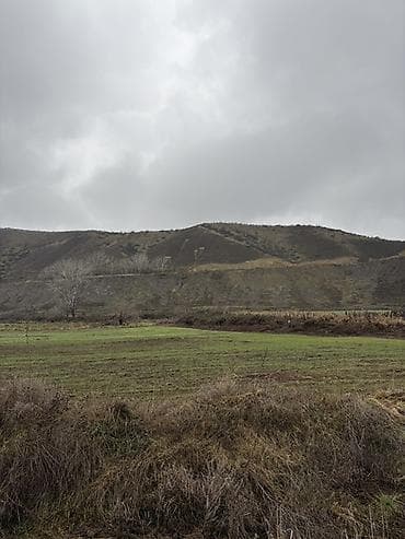 tarqovuda satilan evler: Kənd təsərrüfatı — 1