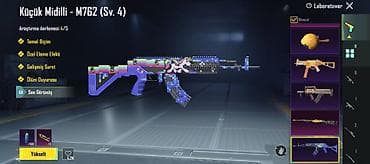 sexsi esyalar: PUBG Mobile hesabı – laboratoriya yüksəldilən silah kolleksiyası — 3