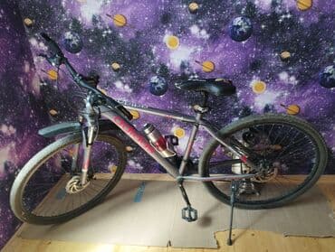 Şəhər velosipedləri: İşlənmiş Şəhər velosipedi Adidas, 29", sürətlərin sayı: 12, Ünvandan götürmə — 1