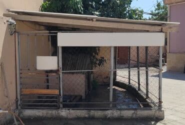 göyərçin yuvaları: Tecili Satılır: Spaniel cinsi it və yuvası (tam dəst) ✅ Ev şəraiti — 3