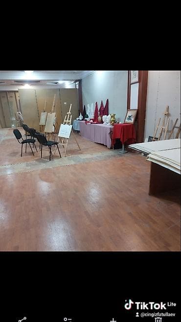 rəssam: Rəsm dərsləri – akademik çizgi və natura üzrə - Peşəkar tədris — 2