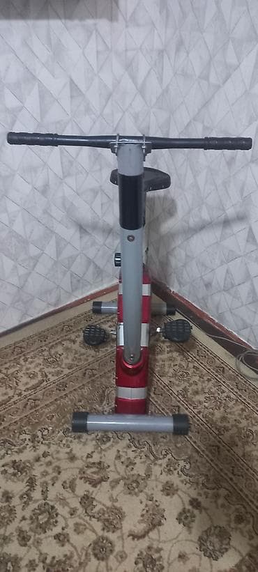 Digər idman və istirahət malları: Maqnitik velotrenajor - Rəng: qırmızı/gümüşü korpus - Maqnitik — 6