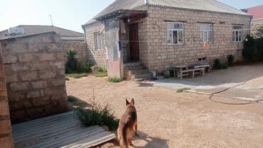 купить дачу в вишневке в баку: Баку, Бузовна, 100 м², 4 комнаты, Без бассейна, Артезианский колодец, Интернет, Газ — 1