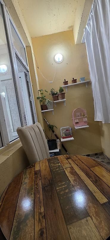metbex masası: 55000 Saray Mtk ilkin ödeniş 55000 endirim olunacaq 14/6 ponorama — 7