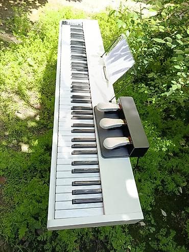 piano az: Piano, Rəqəmsal, Yeni, Rayonlara çatdırılma, Pulsuz çatdırılma — 3