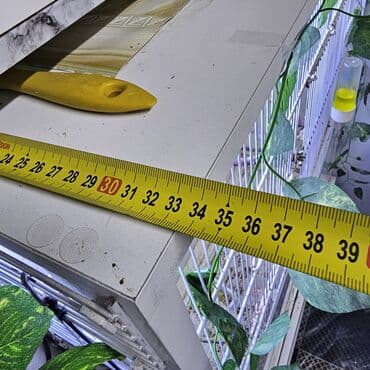 Digər heyvanlar: Qefes — 5