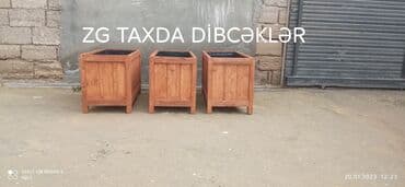 taxta şalban: Dibçəklər hər növ ölçüdə taxda dibcəklər dekorativ ağaclar və güllər — 1