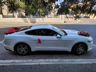 аренда авто ош матиз без залога: 2018-ci il Mustang. Toy, Nişan və digər tədbirlər üçün sifariş edə — 1