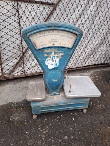 Biznes üçün program təminatı: Asılqan, 30 kq — 2