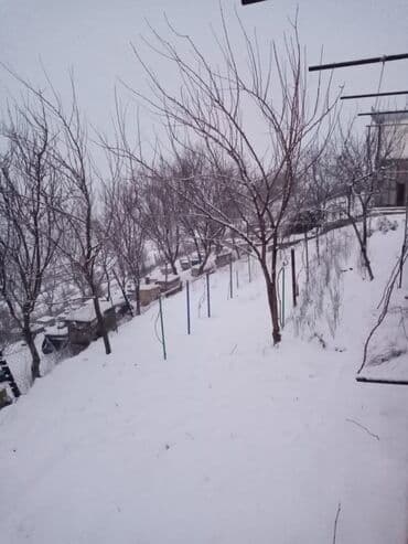 доска объявлений пчелы: Arıçılıq üçün qışladılmış arı ailələri və tam komplekt pətəklər - Dağ — 5