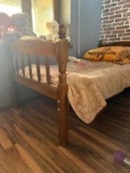 kendir: Buzovna kendinde yaxsi veziyyetde 2 ədəd var — 1