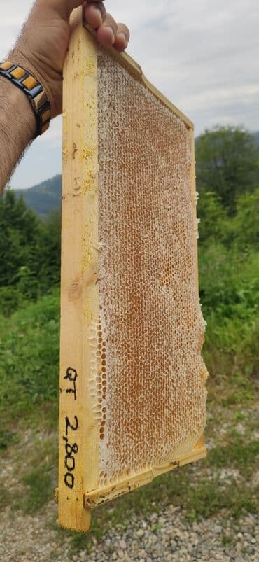 продается мед: Elf bee's 1977 eco product for health and longevity tovuzun — 2