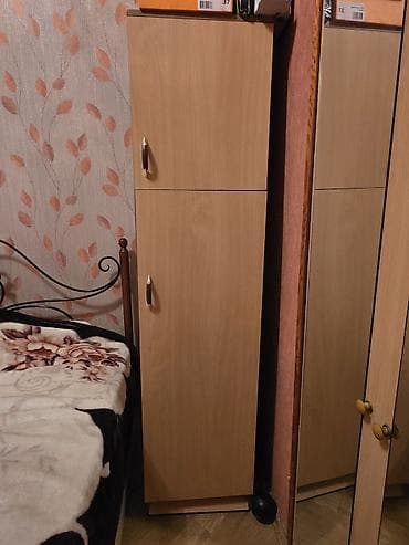 İşlənmiş, 2 qapılı, Digər rəng, Digər material, Açılan, Düz dolab