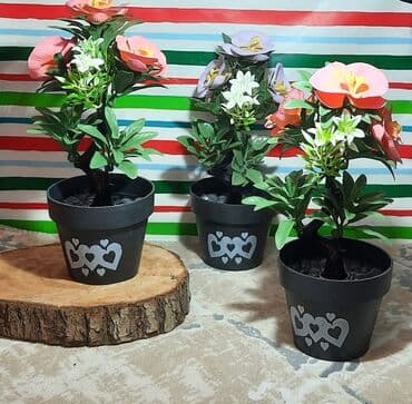 dekarativ guller: Dekorativ güller
Süni — 4