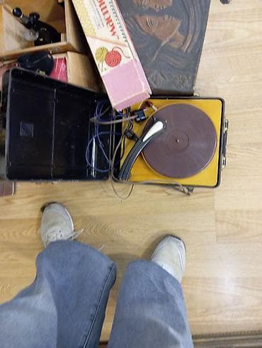 antikvar: Antikvari əşyalar Vintage kolleksiya əşyaları dəsti - Təbiət — 2