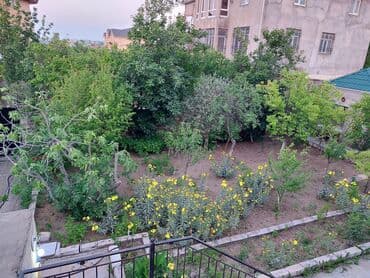 продажа дачных участков в баку: Баку, 148 м², 8 комнат, Без бассейна, Водопровод, Телефон, Электричество — 6