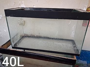 akvarium kompressor: 107,70(zavodskoy) və 40 Litrlik akvarium.Üstündə 1 ədəd LED işıq — 1