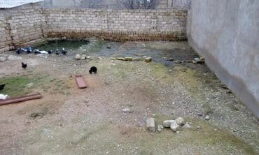 mx group inşaat: 2 sot, Tikinti, Barter mümkündür, Bələdiyyə, Texniki pasport, Müqavilə — 1