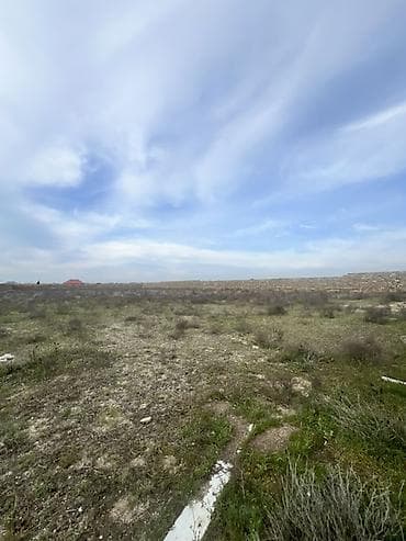 61 sot, Biznes üçün — 5