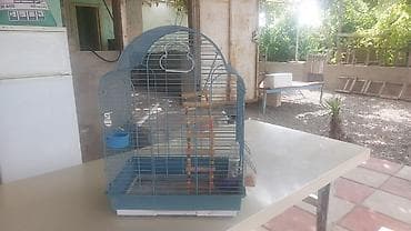 amadin quşu: Quş qəfəsi – tam dəst - Rəng: mavi - Material: metal barmaqlıqlar — 3