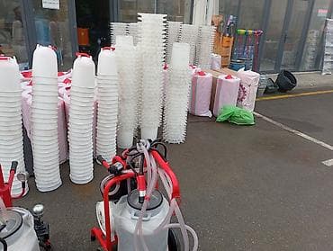 Pişiklər: Avtomatik suvarma kasaları (heyvan içməliyi) iri buynuzlu və xırda — 10