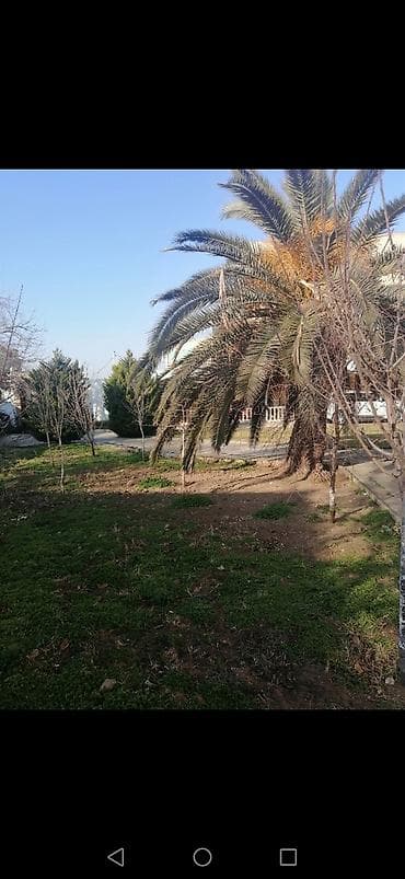 Salam aleykum Adim Sahib 44yaşim var Bakida yaşayiram Gündelik olaraq