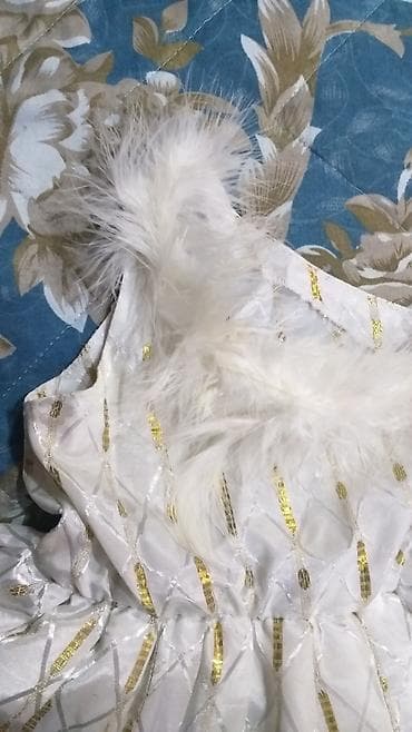 zara donlar lalafo: Salam don yenidir,tək qoldur,mexi istesez çıxartmaqda salmaqda olur — 3