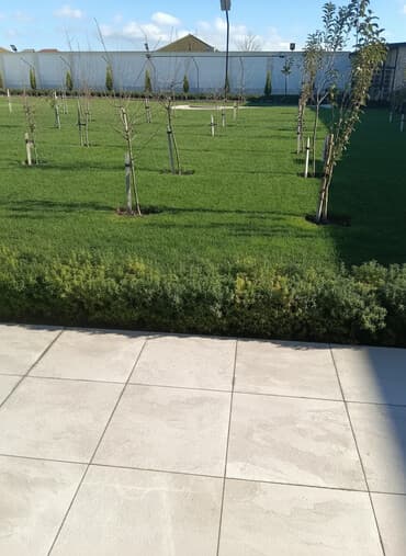 Toxumlar: Torf gübresinin satsi ve ýaşillik isleri torf qazon torpaq peyin — 1