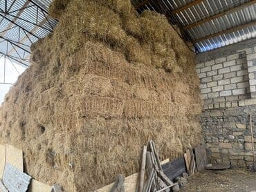 heyvanlara verilen adlar: Məhsul: Balya ot (saman) Təsvir: - Anbarda yığılmış, sıx balyalar — 2