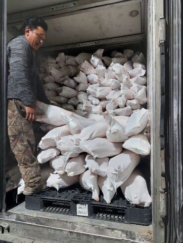 hinduşka əti qiyməti: Topdan qoyun atlari monqolsdan bir basa Azarbaygana — 4