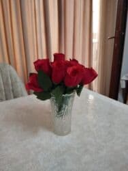 pul gulu cicek aciyor: Gül və güldan plasmasdan — 2