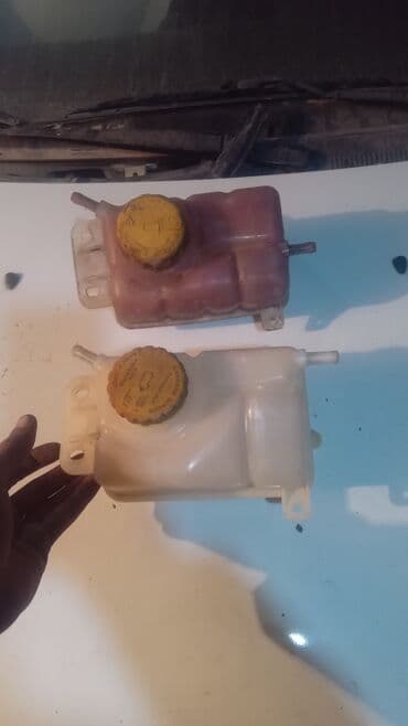 Qızdırıcılar: 250 l, Ravon NEXIA R3, 2017 il, Orijinal, ABŞ, İşlənmiş — 3