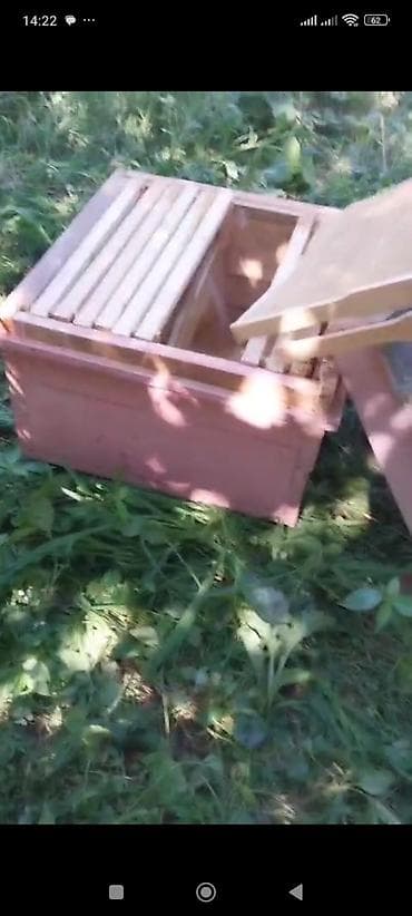 Mal-qara: Arı pətəyi (taxta korpuslu) - Material: qalın taxta lövhələrdən — 9