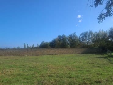 novxanıda həyət evləri: Kənd təsərrüfatı — 16